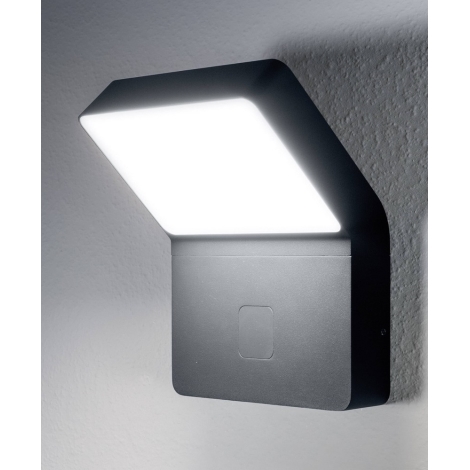 Løve jord jøde Ledvance - LED udendørslampe med sensor ENDURA LED/12W/230V IP44 |  Lampemania