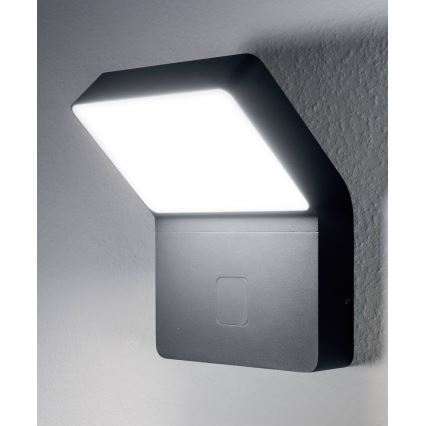 Ledvance - LED udendørslampe med sensor ENDURA LED/12W/230V IP44