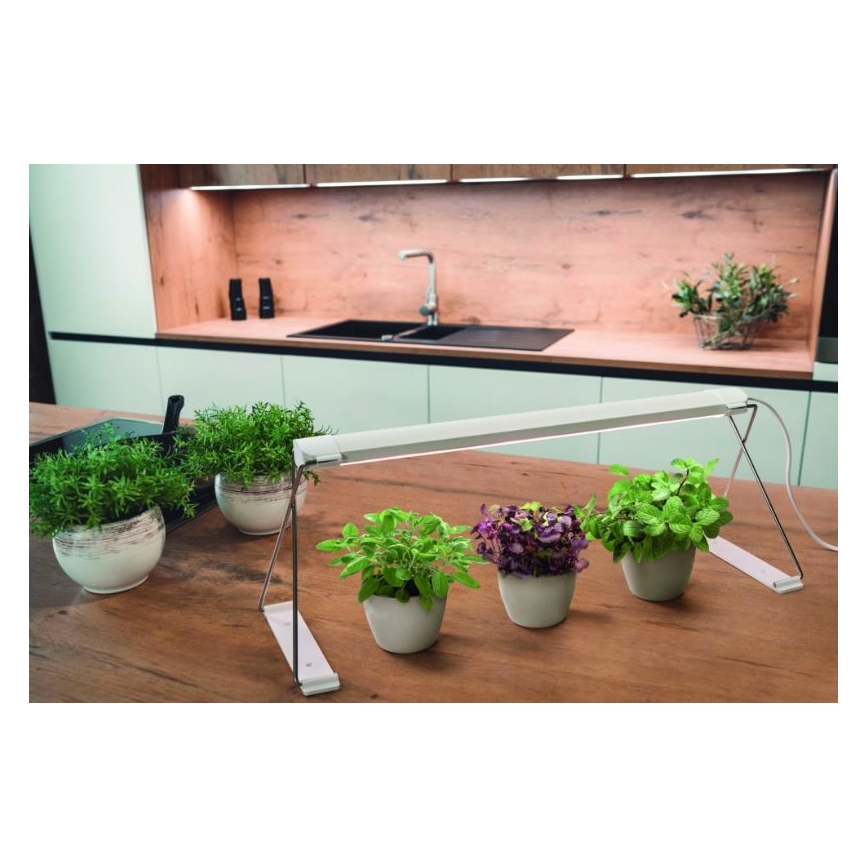 Ledvance - LED vækstlampe TGARDEN LIGHT LED/14W/230V