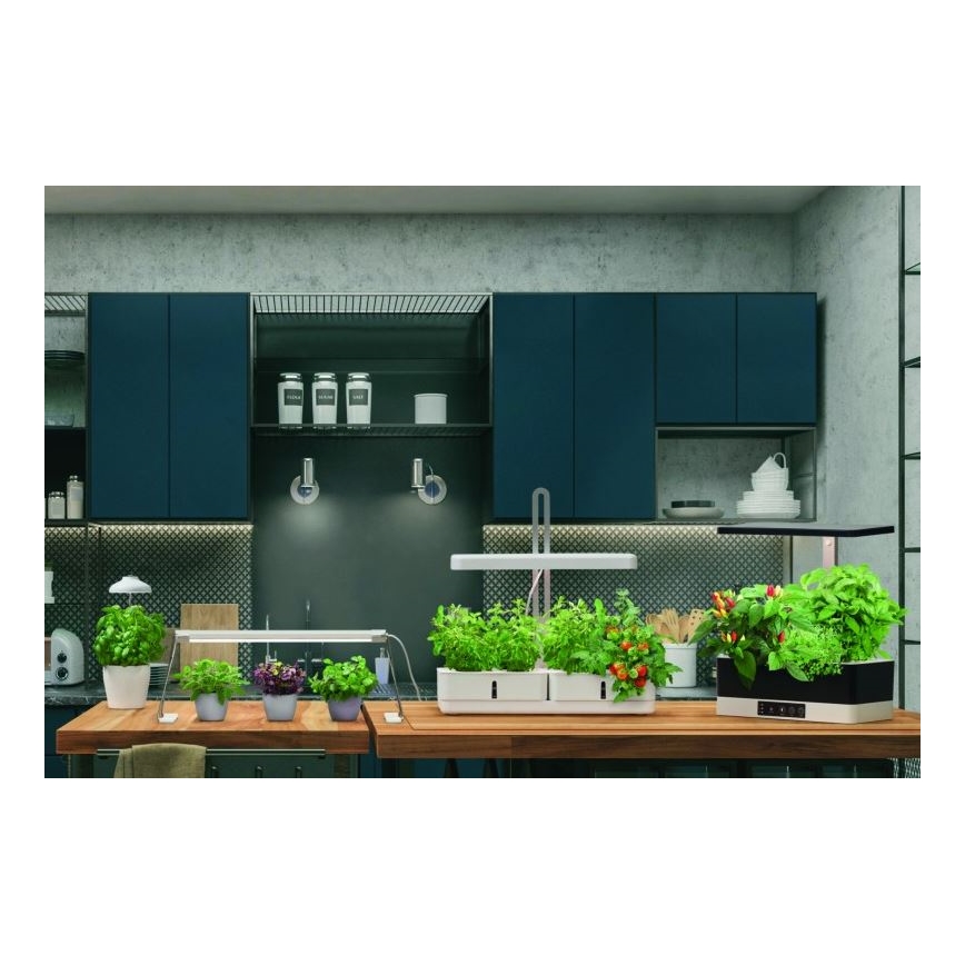 Ledvance - LED vækstlampe TGARDEN LIGHT LED/14W/230V