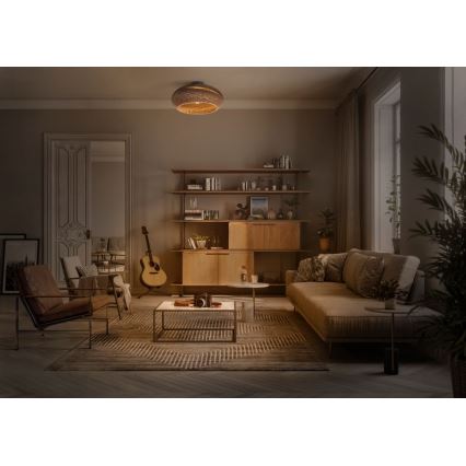 Ledvance - Loftlampe DECOR CARDBOARD 1xE27/15W/230V diameter 40 cm