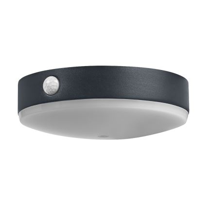 Ledvance - Soldrevet LED væglampe med sensor ENDURA STYLE LED/6W/3,7V IP44