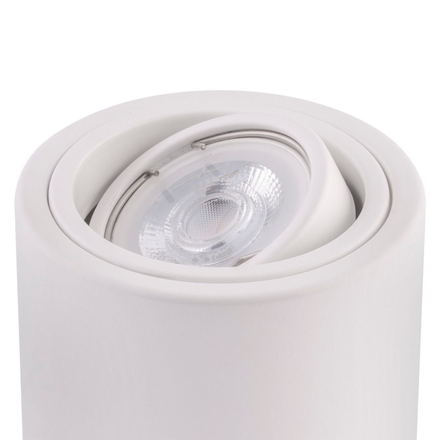 Ledvance - Spotlampe TUBA 1xGU10/50W/230V