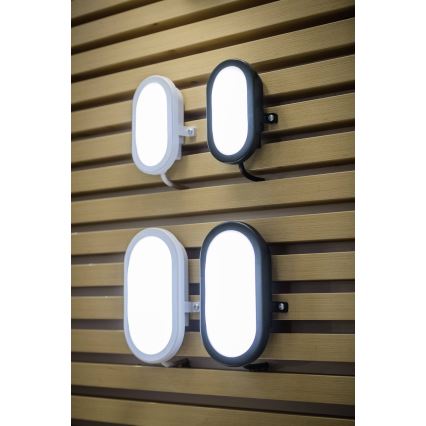 Ledvance - Udendørs LED væglampe BULKHEAD LED/6W/230V IP54 sort