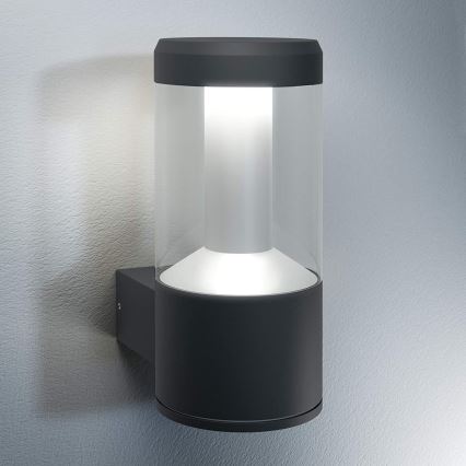 Ledvance - Udendørs LED væglampe LANTERN 1xLED/12W/230V IP44