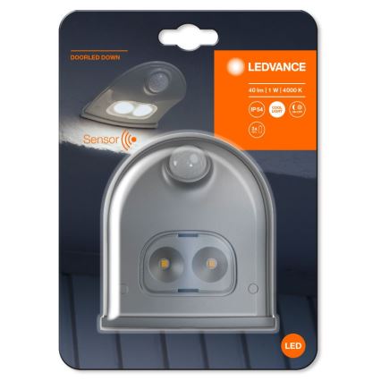 Ledvance - Udendørs LED væglampe med sensor DOORLED LED/1W/3xAA IP54