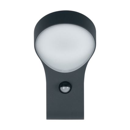 Ledvance - Udendørs LED væglampe med sensor ENDURA LED/8W/230V IP44