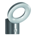 Ledvance - Udendørs LED væglampe med sensor LOOP 1xLED/12W/230V IP44
