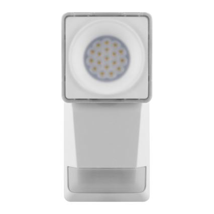 Ledvance - Udendørs LED væglampe med sensor SPOT LED/8W/230V IP55 hvid