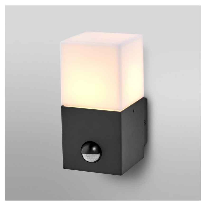 Ledvance - Udendørs væglampe med sensor FIGO SQUARE 1xE27/20W/230V