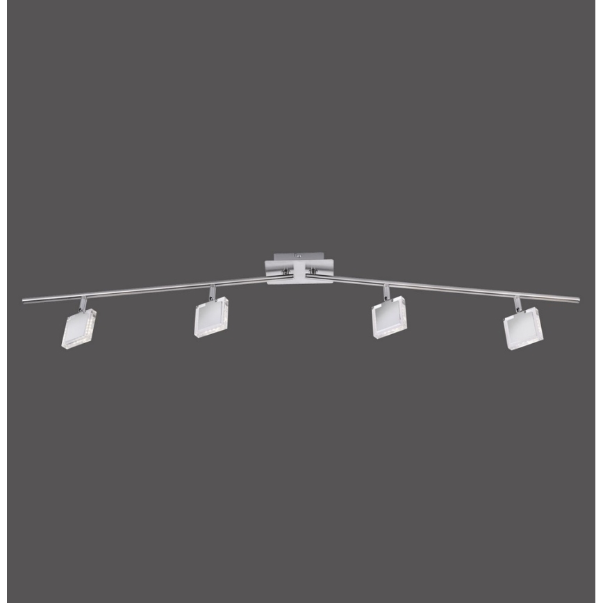 Leuchten Direkt 11084-55 - LED spotlamper TONY 4xLED/4W/230V