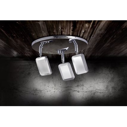 Leuchten Direkt 11243-17 - LED spotlampe WELLA 3xLED/4,2W/230V