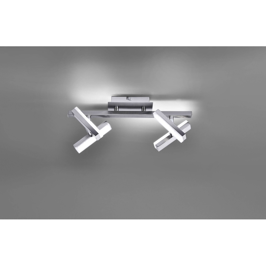 Leuchten Direkt 11277-55 - LED spotlampe RICO 4xLED/2W/230V