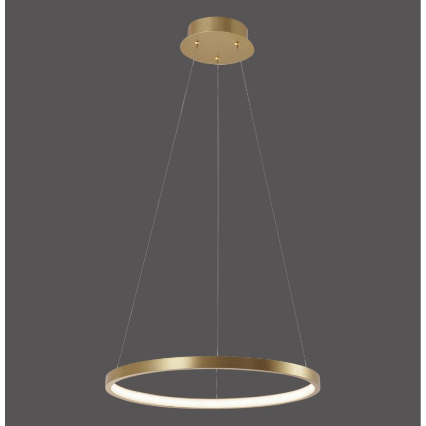 Leuchten Direkt 11522-12 - LED pendel CIRCLE LED/19W/230V