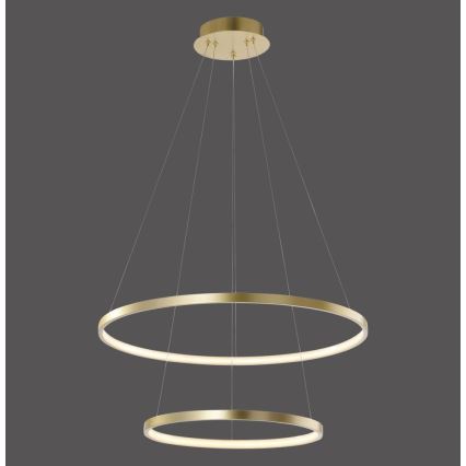 Leuchten Direkt 11525-12 - LED lysekrone i snor CIRCLE 1xLED/18,5W/230V + LED/23,5W