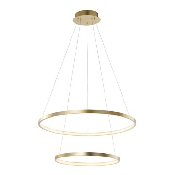 Leuchten Direkt 11525-12 - LED lysekrone i snor CIRCLE LED/18,5W/230V + LED/23,5W