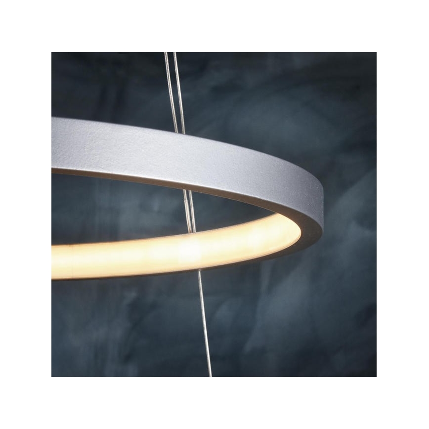 Leuchten Direkt 11525-21 - LED lysekrone i en snor CIRCLE 1xLED/15W/230V + LED/25W