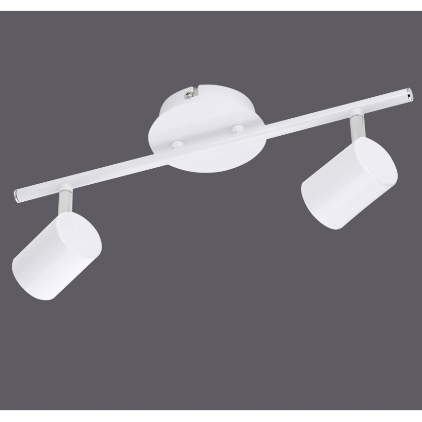 Leuchten Direkt 11942-16 - LED spotlampe TARIK 2xGU10/5W/230V hvid