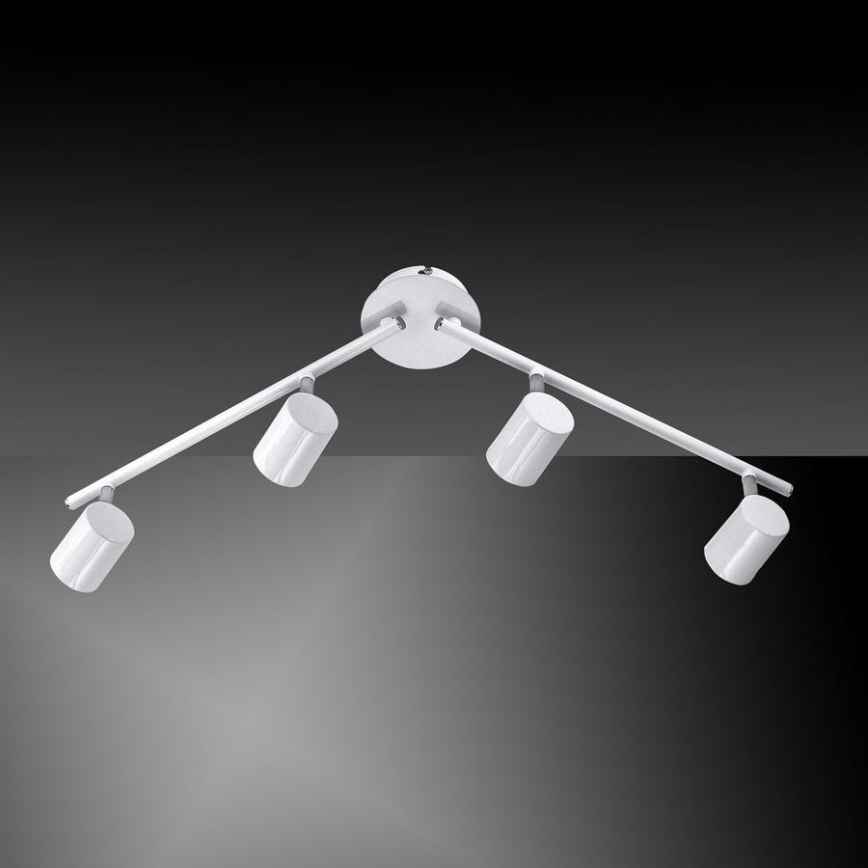 Leuchten Direkt 11944-16 - LED spotlampe TARIK 4xGU10/5W/230V hvid