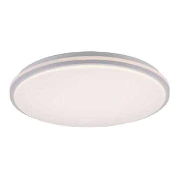 Leuchten Direkt 14209-16 - LED loftlampe dæmpbar COLIN LED/32,4W/230V