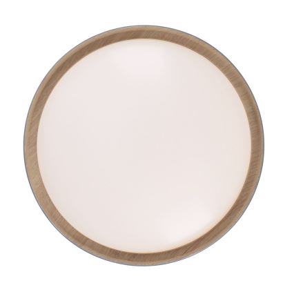 Leuchten Direkt 14347-15 - LED dæmpbar loftlampe EMILIA LED/28,8W/230V grå