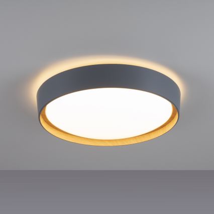 Leuchten Direkt 14347-15 - LED loftlampe dæmpbar EMILIA LED/28,8W/230V grå