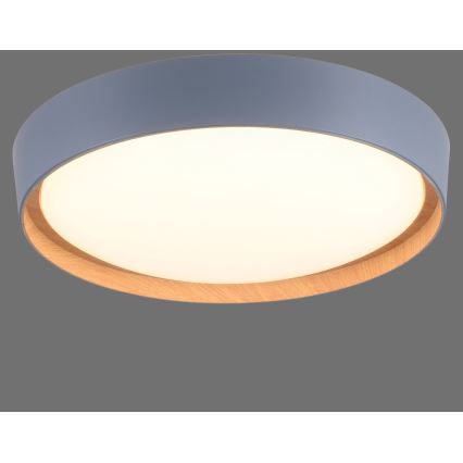 Leuchten Direkt 14347-15 - LED loftlampe dæmpbar EMILIA LED/28,8W/230V grå