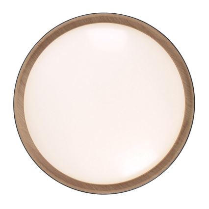 Leuchten Direkt 14347-18 - LED dæmpbar lampe EMILIA LED/28,8W/230V sort