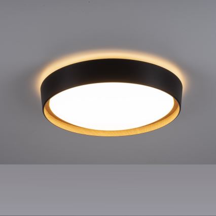 Leuchten Direkt 1434718 - LED loftlampe dæmpbar EMILIA 28,8W/230V sort