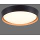 Leuchten Direkt 1434718 - LED loftlampe dæmpbar EMILIA 28,8W/230V sort