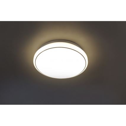 Leuchten Direkt 14362-16 - LED loftlampe JUPITER LED/17W/230V 3000/4000/5000K