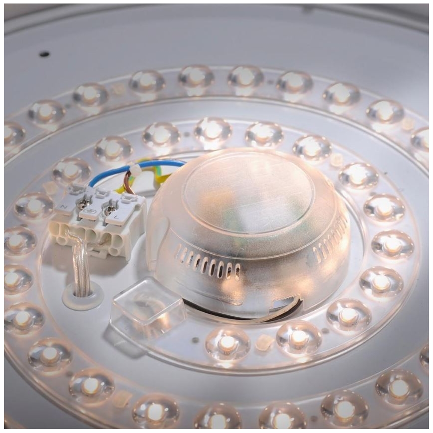 Leuchten Direkt 14422-17 - LED loftlampe med sensor til badeværelse LAVINIA LED/18W/230V IP44