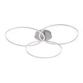 Leuchten Direkt 14539-55 - LED loftlampe dæmpbar IVANKA 3xLED/12W/230V