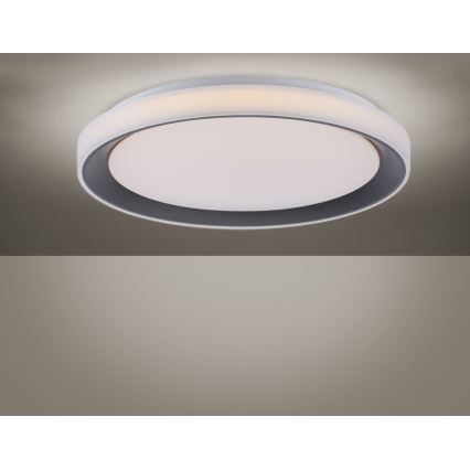 Leuchten Direkt 14659-18 - LED RGB dæmpbar loftlampe LOLA LED/24W/230V Tuya + fjernbetjening