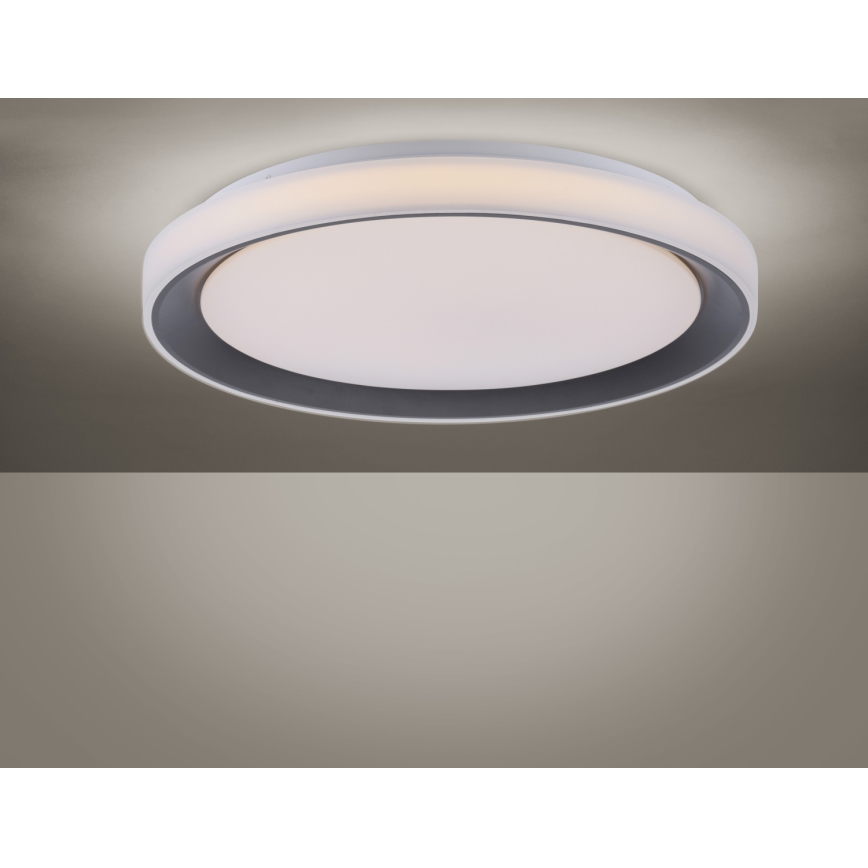 Leuchten Direkt 14659-18 - LED RGB dæmpbar loftlampe LOLA LED/24W/230V Tuya + fjernbetjening