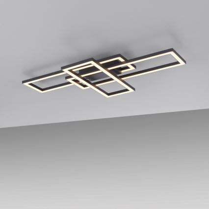 Leuchten Direkt 14697-18 - LED dæmpbar loftlampe IVEN LED/24W/230V
