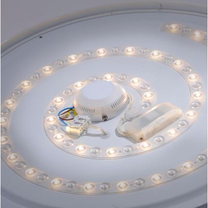 Leuchten Direkt 14822-17 - LED loftlampe med sensor til badeværelse LAVINIA LED/40W/230V IP44