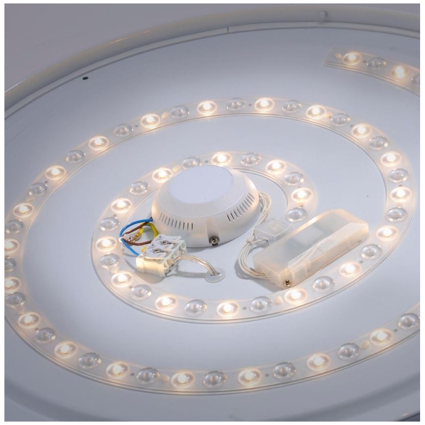 Leuchten Direkt 14822-17 - LED loftlampe med sensor til badeværelse LAVINIA LED/40W/230V IP44