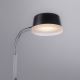 Leuchten Direkt 14825-18 - LED bordlampe ENISA 1xLED/3,5W/230V sort