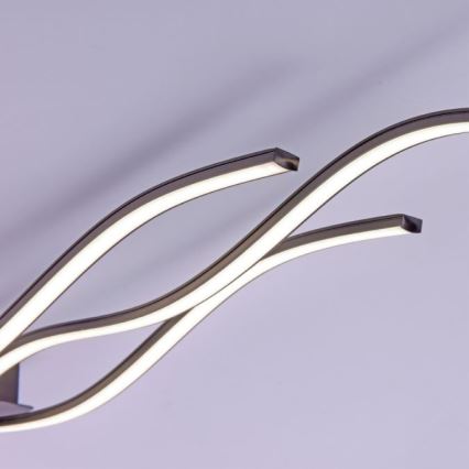 Leuchten Direkt 15167-18-LED Påbygget loftlampe WAWE 2xLED/12,5W/230V+LED/17W sort