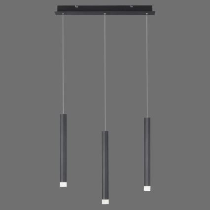 Leuchten Direkt 15203-18 - LED pendel 3xLED/4,8W/230V sort
