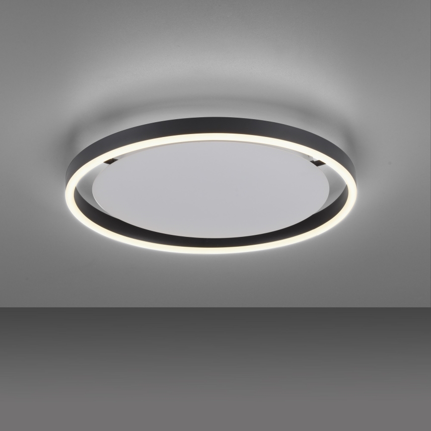 Leuchten Direkt 15391-13 - LED loftlampe dæmpbar RITUS 20W/230V sort