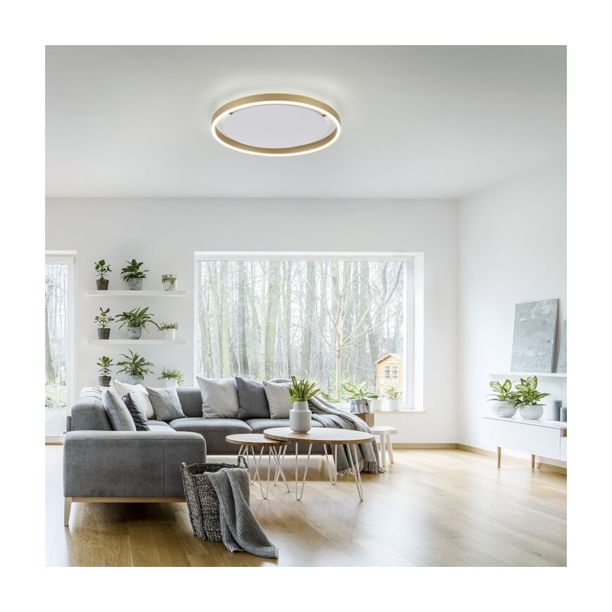 Leuchten Direkt 15391-60 - LED loftlampe dæmpbar RITUS LED/20W/230V messingfarvet