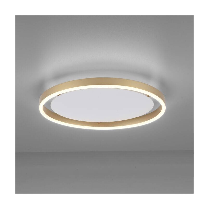 Leuchten Direkt 15391-60 - LED loftlampe dæmpbar RITUS LED/20W/230V messingfarvet