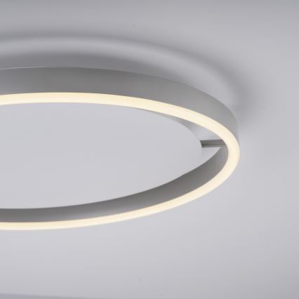 Leuchten Direkt 15391-95 - LED loftlampe dæmpbar RITUS LED/20W/230V mat krom