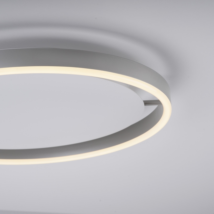 Leuchten Direkt 15391-95 - LED loftlampe dæmpbar RITUS LED/20W/230V mat krom