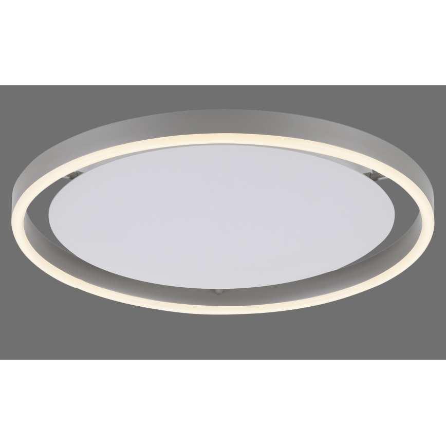 Leuchten Direkt 15391-95 - LED loftlampe dæmpbar RITUS LED/20W/230V mat krom