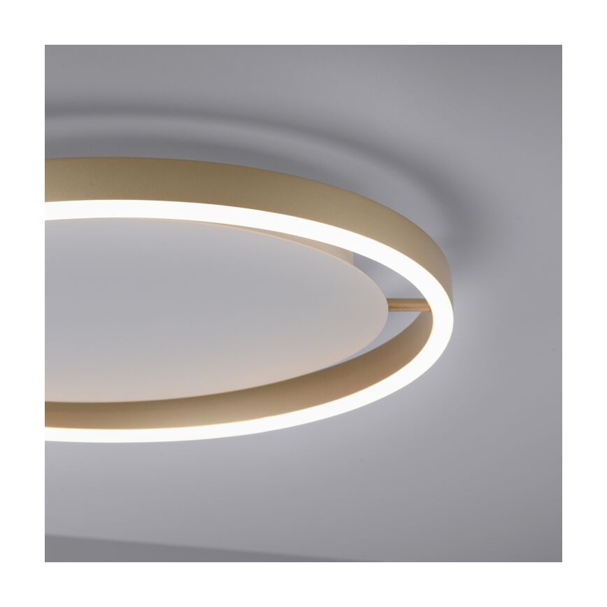 Leuchten Direkt 15392-60 - LED loftlampe dæmpbar RITUS LED/30W/230V messingfarvet