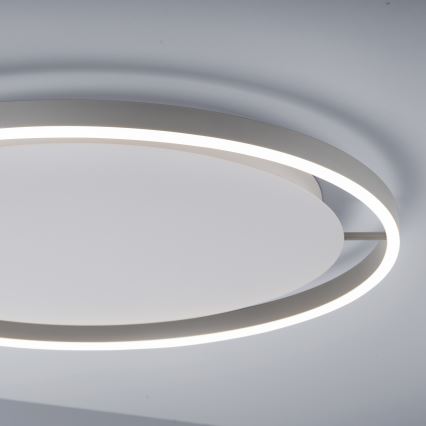 Leuchten Direkt 15392-95 - LED loftlampe dæmpbar RITUS LED/30W/230V mat krom