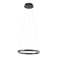 Leuchten Direkt 15393-13 - LED dæmpbar loftlampe på kabel RITUS LED/20W/230V sort